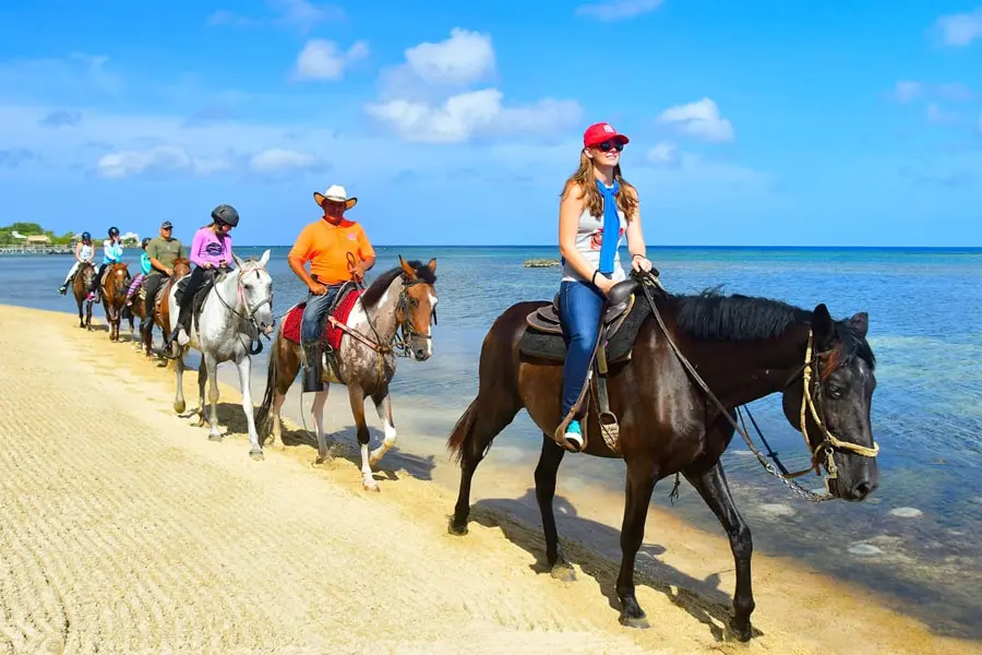 Horseback riding along the beach in Roatan
