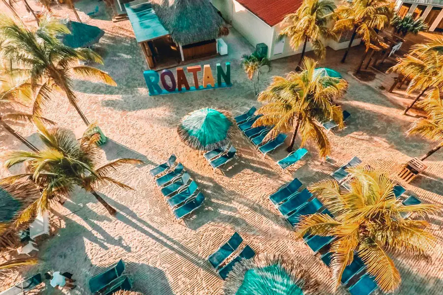 Aerial view of Las Palmas Beach with palm trees and loungers, Roatan