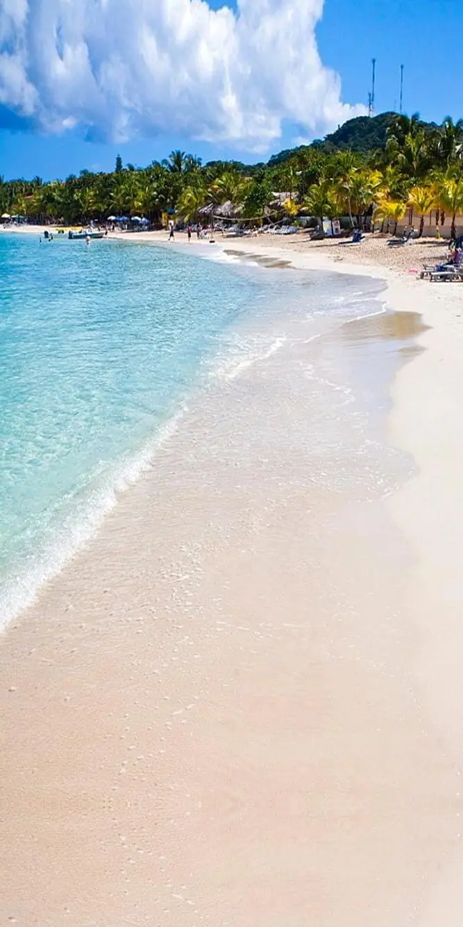 Island Tour + Snorkeling and Beach Break in West Bay